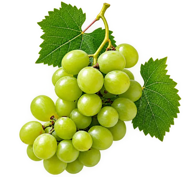 Table Grapes