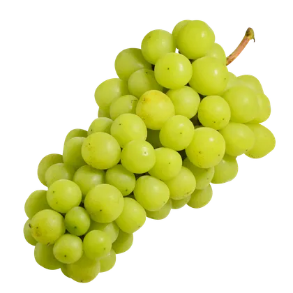 Table Grapes