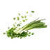 Spring Onions