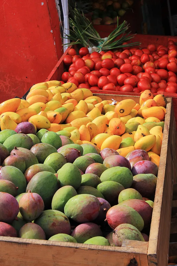 Mango — Photo 2