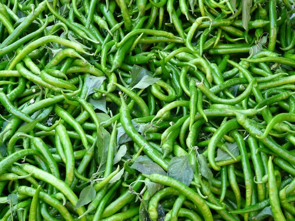 Chilli Peppers — Photo 3