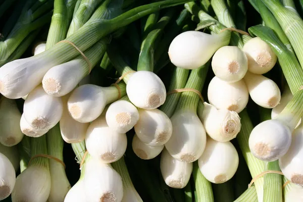 Spring Onions — Photo 4