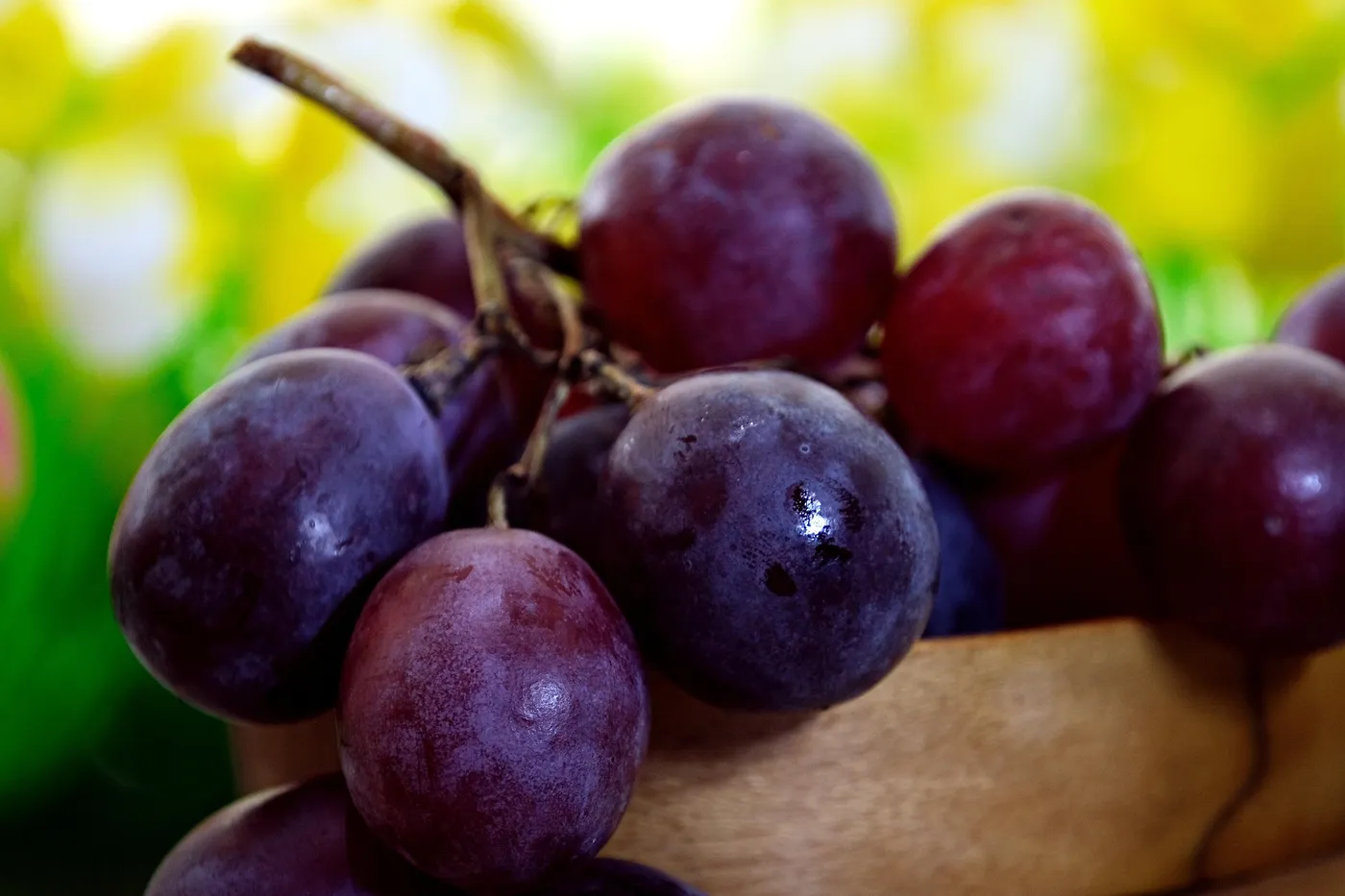 Black Seedless Grapes — Photo 3