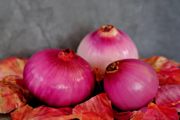 Red Onions — Photo 2