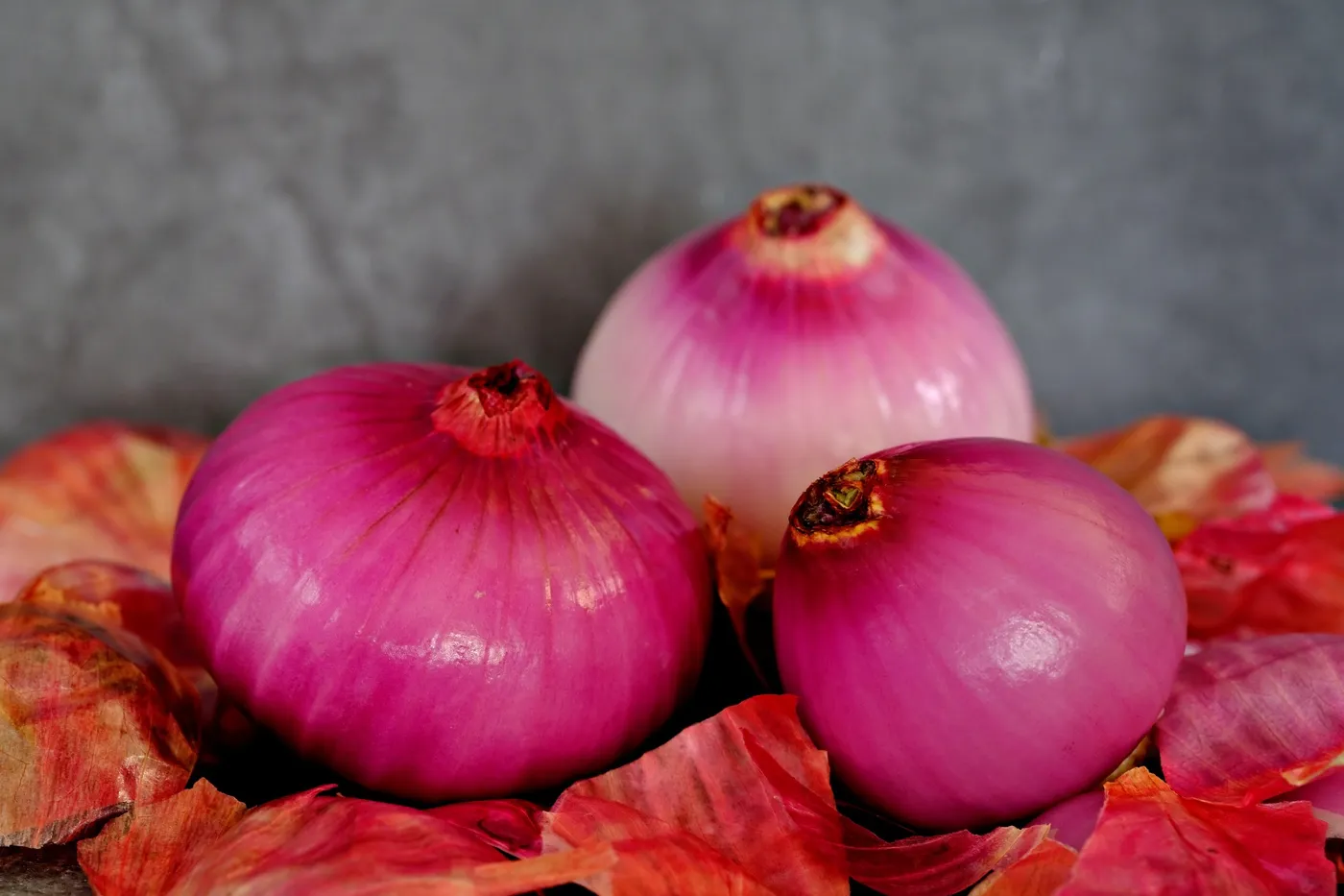 Red Onions — Photo 2