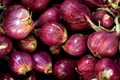 Red Onions — Photo 3