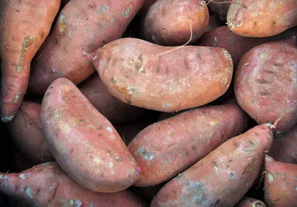 Sweet Potato — Photo 4