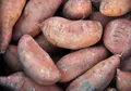 Sweet Potato — Photo 4