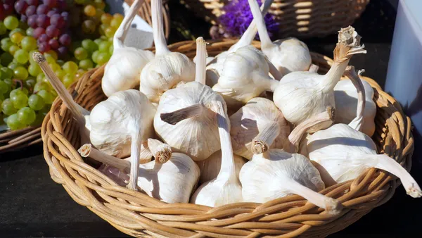 Garlic — Photo 6