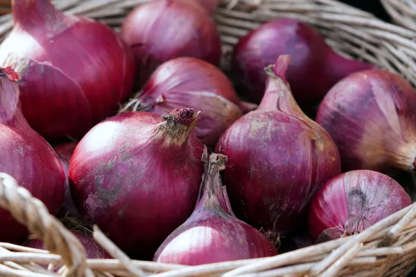 Red Onions — Photo 4
