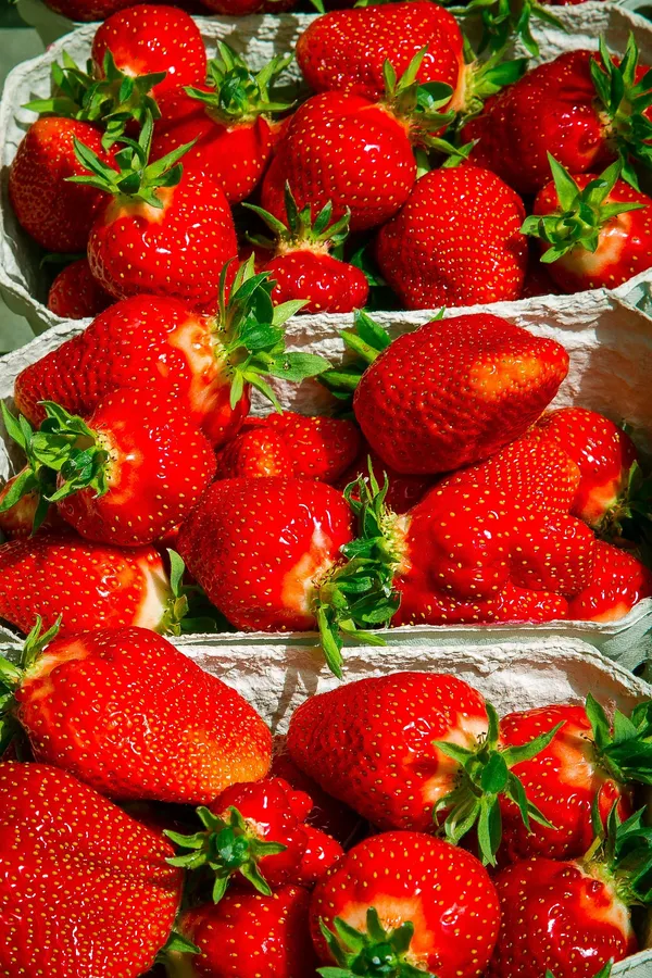 Strawberries — Photo 3