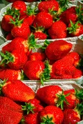 Strawberries — Photo 3