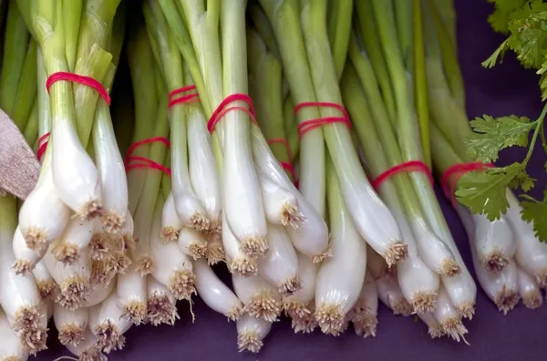 Spring Onions — Photo 6