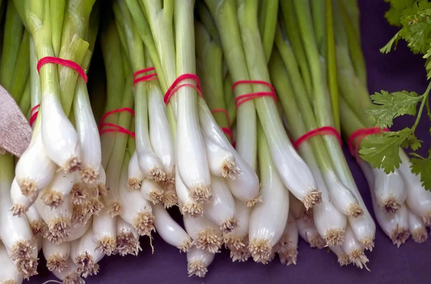 Spring Onions — Photo 6