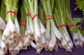 Spring Onions — Photo 6