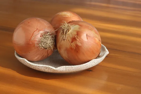 Golden Onions — Photo 6