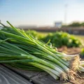 Spring Onions — Photo 7