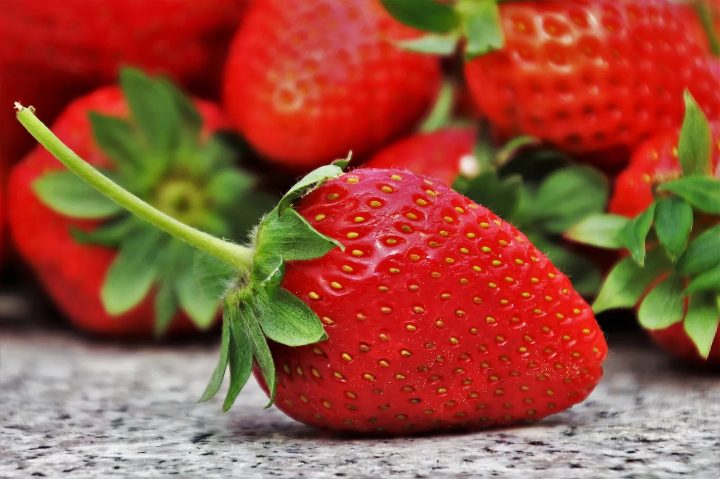 Strawberries — Photo 5