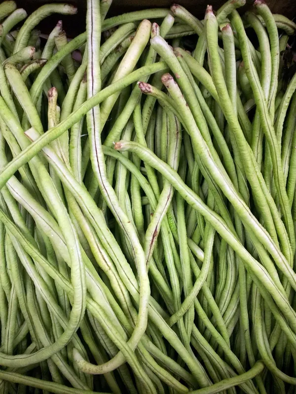 Green Beans — Photo 5