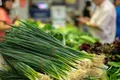 Spring Onions — Photo 8