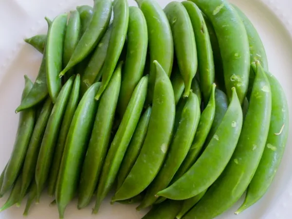 Sugar Snap Peas — Photo 5