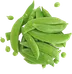 Sugar Snap Peas