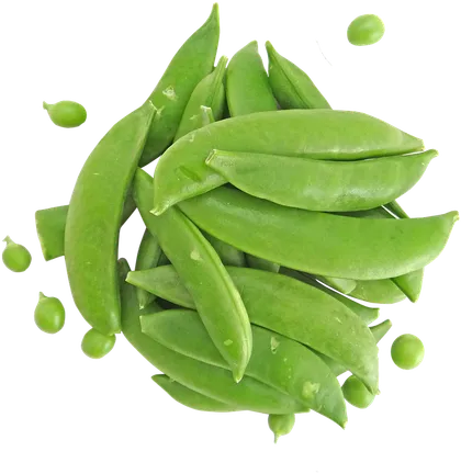 Sugar Snap Peas