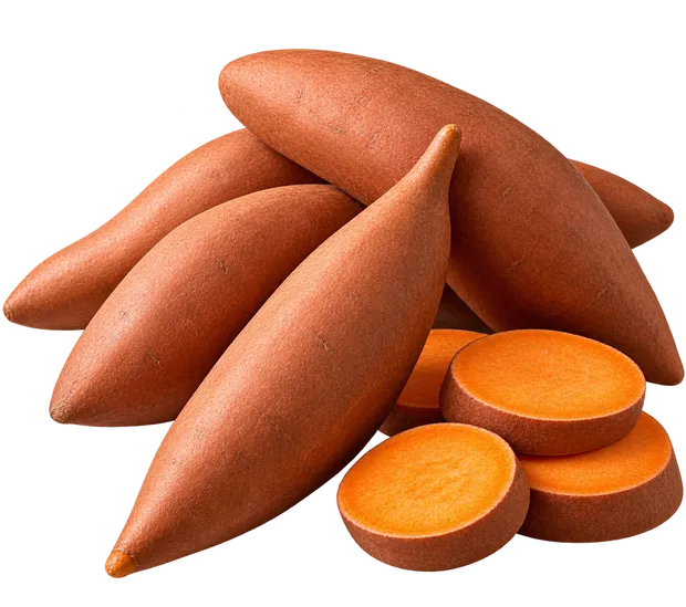 Sweet Potato