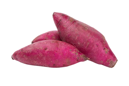 Sweet Potato