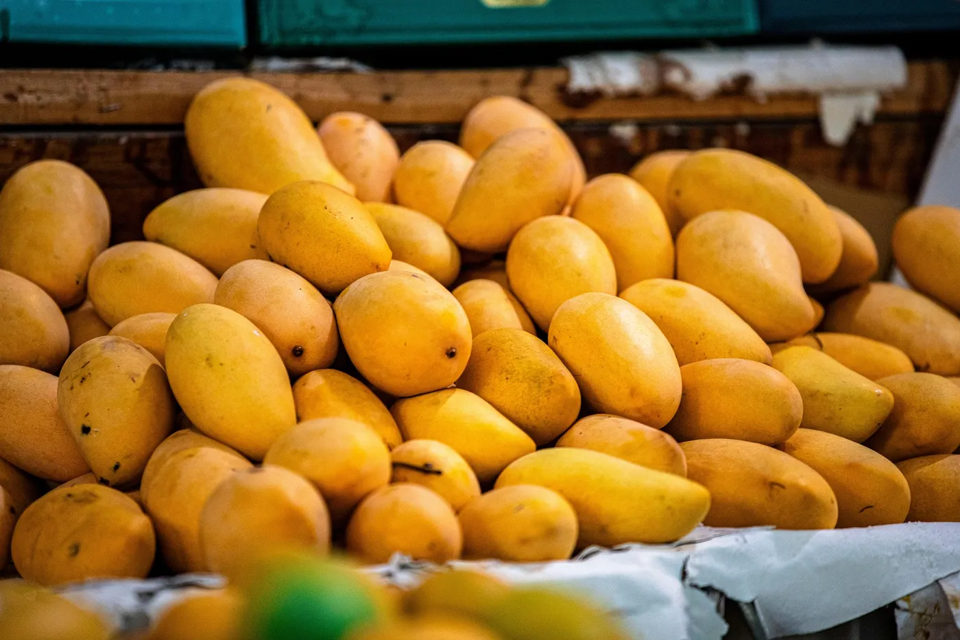 Mango — Photo 8