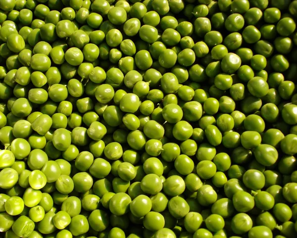 Mangetout — Photo 8