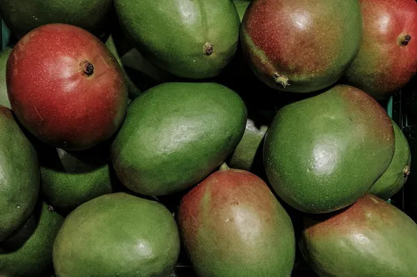 Mango — Photo 9
