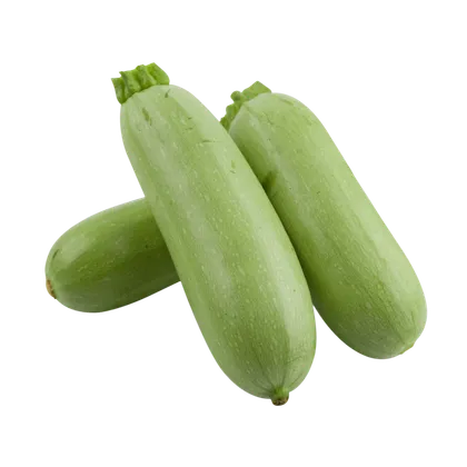 Zucchini