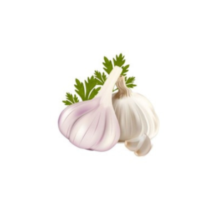 Fresh Garlic